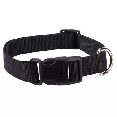 Zack & Zoey Dog Collar Adjustable Jet Black 14-20  Neck 5/8  Wide Medium • $5.99