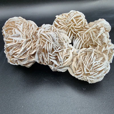 $22.50 • Buy Delightful Desert Rose