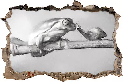 The Frog And The Snail Art Coal Effect - 3D Look Breakthrough Wall Tattoo A • £17.20