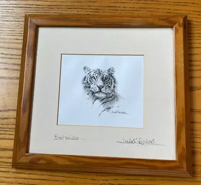 David Shepherd Signed Tiger Print  • £14.99