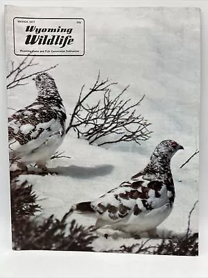 Wyoming Wildlife Magazine MAR 1977 Ptarmigan AK Brown Bear Pole Creek Lagomorphs • $24.99