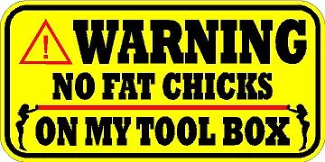 Warning Decal / Sticker * New * No Fat Chicks On My Tool Box * Snap On * Mac   • $2.50