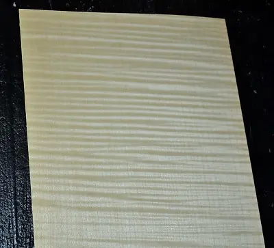 Curly Maple Raw Wood Veneer Sheet 8 X 23 Inches 1/42nd                  4665--89 • $23.99