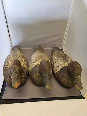 Rig Of 3 - Vintage Duck Decoys • $197.55