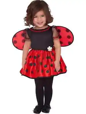 Baby Little Ladybug Costume Ladybird New Fancy Dress Girls Toddler Insect Outfit • £11.99