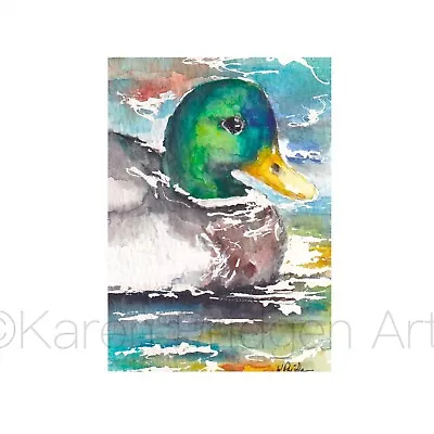 ACEO ATC Watercolor Art Print Signed Free Shipping Mallard Duck Bird Birds • $6.54