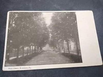 1908 Wellsboro Pennsylvania Waln Street Scene Photo Postcard • $24.95