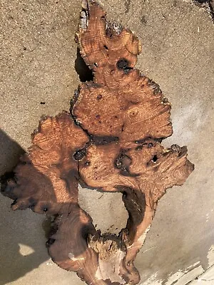 Huge Live Edge Mesquite Burl Wood Slab 59”x24”x1.25” Beautiful Color And  Grain • $499