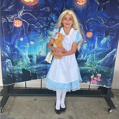 Handmade Alice In Wonderland Halloween Costume Sz:9-10 • $30