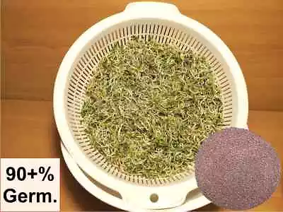 Broccoli Sprouts Seeds Untreated Non-GMO ( Sprouts  Sprouting Seeds )0.1-4.6kg • $19.06