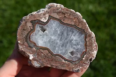 Thunderegg Polished Agate Quartz Geode Crystal Red Baker Ranch New Mexico • $29.95