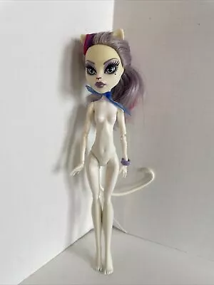 2014 Monster High Scaremester Catrine DeMew Doll BGD88 Mattel • $21.84