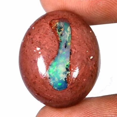 16.80 Cts 100% Natural MEXICAN FIRE OPAL Cabochon 18 X 22 Mm Loose Gemstone FM20 • £17.16