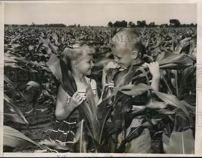 1957 Press Photo Children In Corn Field Michigan City Indiana • $29.88