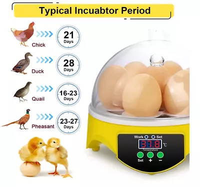 7 Eggs Hatcher Egg Incubator • $26