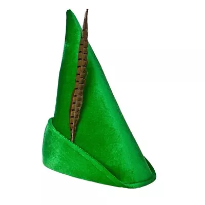 Green Storybook Robin Hood Peter Pan Hat Adults Book Day Mens Ladies Fancy Dress • £4.99