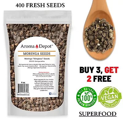 Moringa Seeds 4 Oz. Wingless 400 Semillas De Moringa Oleifera Pepa Malunggay • $8.90