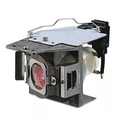 Original Bulb Inside Projector Lamp Module For BENQ W1070 • $239.50