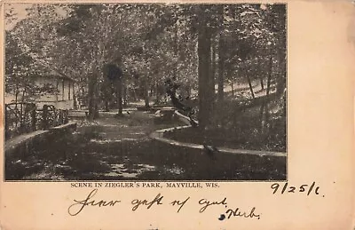 Scene In Ziegler's Park Mayville Wisconsin WI 1906 Postcard • $11.95