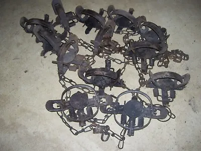 12- Vintage: Oneida Victor # 1 1/2 Coil Spring Animal Traps/trapping • $99.99