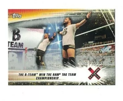 Curtis Axel/ Bo Dallas 2019 Topps WWE Summerslam SILVER PARALLEL #80 /25 B TEAM • $2.99