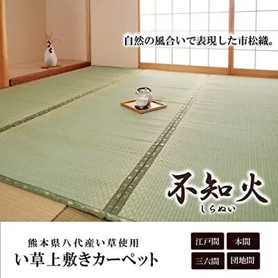 Tatami Mat Japanese Rush Grass Japan Ikehiko Carpet Floor Shiranui Igusa Rug • £56.85