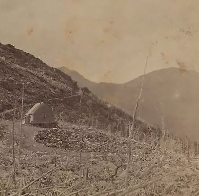 Halfway House Carriage Road To Mt. Washington White Mountains NH Stereoview 1870 • $9.99
