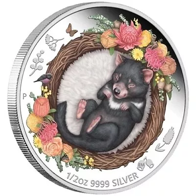 Dreaming Down Under Tasmanian Devil 1/2oz Silver Proof Coin (Queen Elizabeth II) • $189