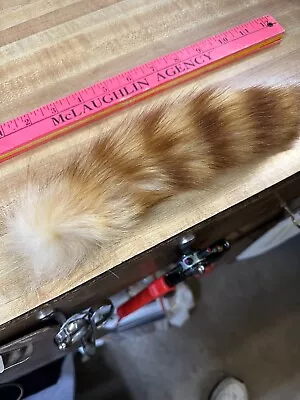 Tanned Raccoon Tail #2 Quality Small 8 To 11  SPECIAL DYED FOR FLY TYING ONLY • $6.99