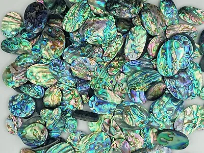 Natural Abalone Shell Piece Wholesale Lot Abalone Shell For Jewelry Making 72408 • $9.34