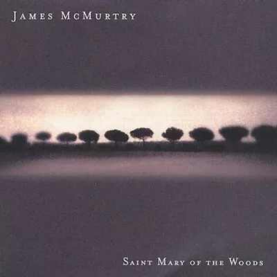 James Mcmurtry - Saint Mary Of The Woods New Cd • £18.16