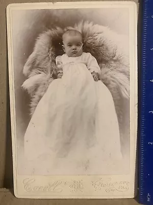 Cabinet Card CDV Photo Baby Girl White Dress On Fur Mt Jewett Pa. • $5.99