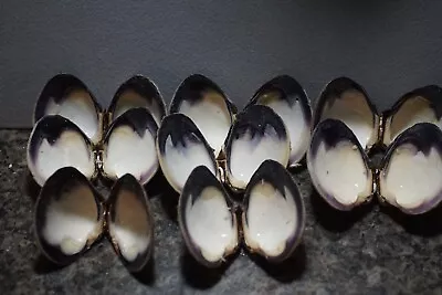 Wampum Quahog Shells Ancient Source RI Premium Lot 16  2 1/2 -3  MATCHED PAIRS • $12.95