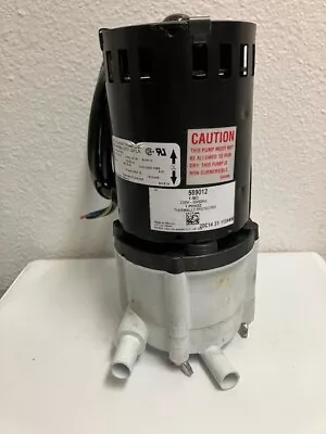 LITTLE GIANT 589012 1-MD Magnetic Drive Pump - 230V- 180 GPH At 1' • $100