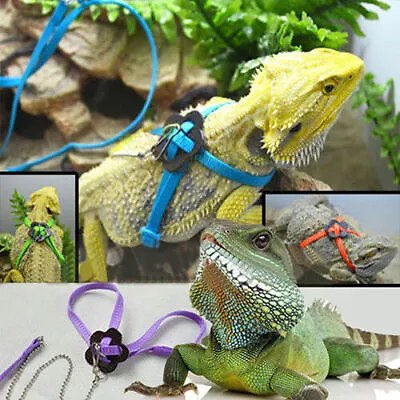 Reptile Harness Adjustable Lizard Bearded Dragon Leash Training Robe Outdoor AU • $7.35