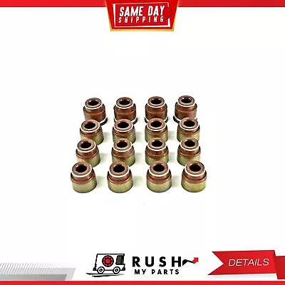 89-97 Valve Stem Seals For Nissan 240SX 2.4L L4 SOHC 12v KA24E DNJ VSS607 • $14.99