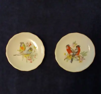 Two Vintage Miniature Plates Featuring Finches • $12