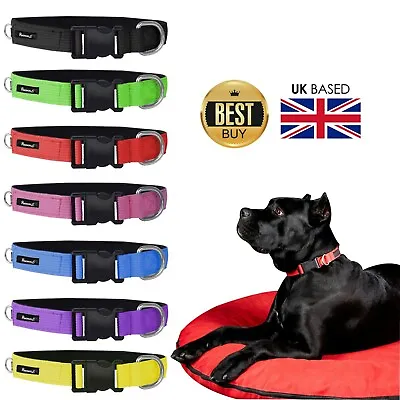 £5.99 • Buy Animalis Nylon Pet Puppy Dog Collar Soft Padded Adjustable Pink Black 7 Colors 