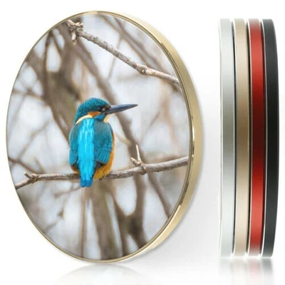 $40.81 • Buy Wireless Charger For Apple Iphone 11/XS/8/Samsung S10/S9 - Blue Kingfisher Bird