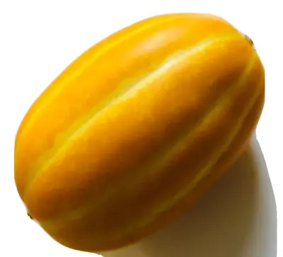 50 PCS Korean Musk Melon Seeds Golden Sweet Non-GMO EDIBLE 韩国黄金瓜甜瓜香瓜种子 • $2.99