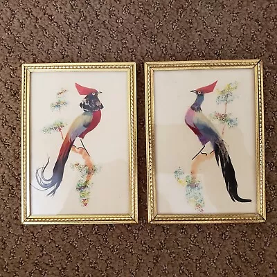 Vtg Bird Feather Craft Mexico Folk Art (2) - Real Feathers & Watercolor - Framed • $25