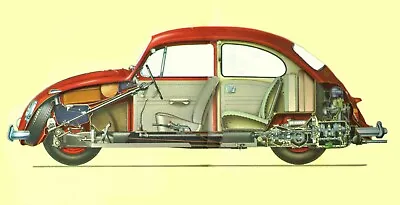 1966 VW Beetle Cross Section | 24 X 36 Inch  • $23.99