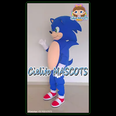 Sonic The Hedgehog Mascot Costume Cosplay Botarga Halloween Cartoon • $240