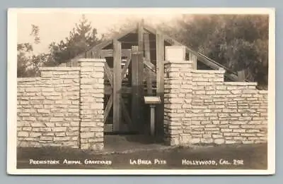 La Brea Tar Pits  Animal Graveyard  LOS ANGELES Antique Paleontology Photo 1930s • $39.99
