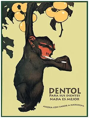 4354.Dentol.hanging Monkey Brushing Teeth.naranjas.POSTER.decor Home Office Art • $60