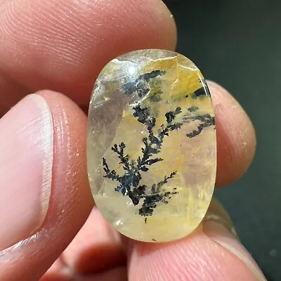 16.9ct Natural Beautiful Mica Tree  Crystal Polished Specimen • $3.99