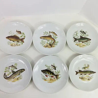 $49.99 • Buy Set Of 6 Naaman Israel 9.25  Fish Dinner Plates Porcelain Bass Trout Perch