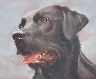 Fine John Silver Original Oil Painting Portrait Of A Black Labrador Dog • £169