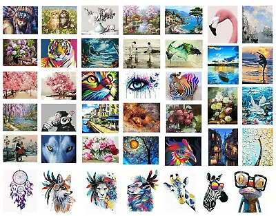 £6.99 • Buy DIY Oil Acrylic Painting Kit Paint By Numbers Choose Your Own Designs Best 2022