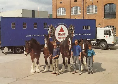 £6.50 • Buy Postcard The Bass Shire Horses Burton On Trent Working Horse Interest My Ref VO